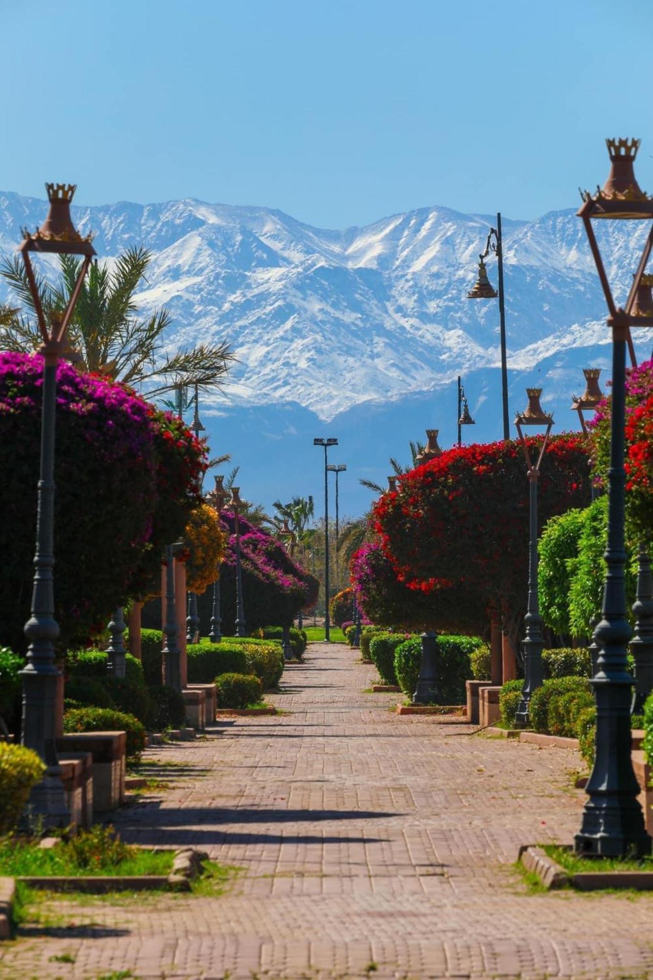 Riad Majestic Marrakech Марракеш Экстерьер фото